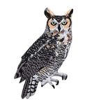 Great Horned Owl Iron On Embroidered Applique Patch