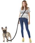 Hands-free Dog Leashes