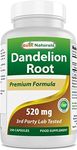 Best Naturals Dandelion Root 520 mg