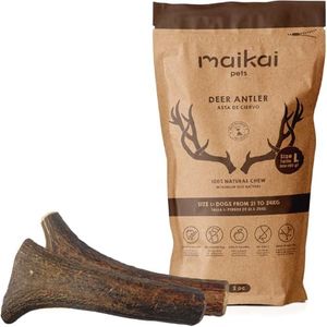 MAIKAI Cor