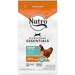 NUTRO WHOLESOME ESSENTIALS Adult In