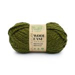 Lion Brand Yarn Wool-Ease T&Q Recycled Yarn, Olive