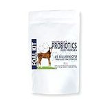 Equa Holistics HealthyGut Foal Kit 