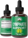 Lymphatic 