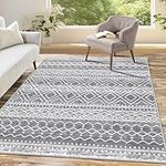 HEBE Vintage Washable Area Rug 4x6 Distressed Living Room Rug Low Pile Indoor Carpet for Bedroom Soft Non Slip Dining Room Rug Throw Rug Floor Carpet for Nursery Guest Room Entryway