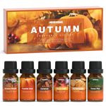 ARVIDSSON Fall Essential Oils Set, Autumn Fragrance Oil for Diffusers, Candle Making, Pumpkin Spice, Cinnamon, Spiced Cider, Autumn Wreath, Pine, Snickerdoodle, Fall Scented Oils for Home