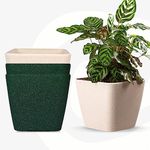 Eha Set of 4 Earth-Friendly Daisy 9" Self-Watering pots and Planters | Bamboo Based | UV Protected | for Indoor, Home Decor, Outdoor, Balcony & Garden | Sand-Fern