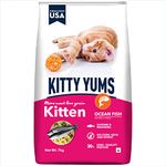 Kitty Yums Kitten(1-12 Months) Dry Cat Food, Ocean Fish, 7kg Pack