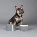 Scruffs Classic 2 Piece Flat Faced Dog Bowl & Water Bowl - 15cm | 18cm - Grey