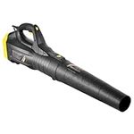 Electric Leaf Blower, Cordless Leaf