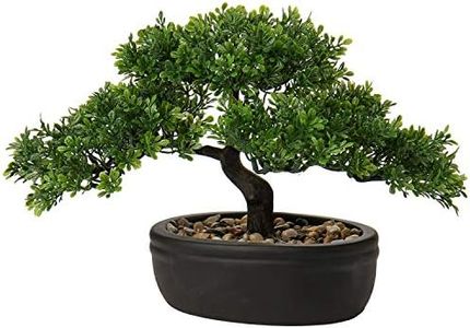 U/S Bonsai