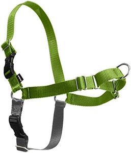 PetSafe Easy Walk No-Pull Dog Harness - Ultimate Harness to Help Stop Pulling - Pull-Free Walks - Take Control & Teach Better Leash Manners - Patented Martingale Loop Design - Apple Green, Large