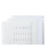 FranklinCovey Classic Custom Tabs