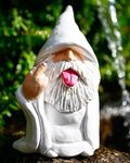 BBdis Garden Gnome Statue, Tongue Gnomes 5.9 Inch Naughty Resin Gnome Statue for Lawn Yard Ornaments, Outdoor Decorations for Patio, Housewarming Garden Gift