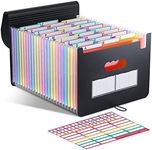 ThinkTex Accordian File Organiser, 