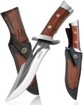 Omesio Fixed Blade Knife with Sheath, 11.22'' Full Tang Survival Hunting Knife for Men, 5.7" Large AST Mold Steel Blade Wood Handle Camping Knife for Hiking, Bushcraft, Outdoor