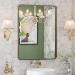 LOAAO 22”X30” Bronze Bathroom Mirro