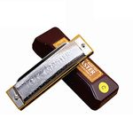Folkmaster 1072 Harmonica Standard Beginner Diatonic Blues Gaita 10 Holes A B C D E F G Ab Bb Db Eb F# Musical Instrument(key of E)