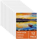 12 Packs Blank Art Canvas Panels 20