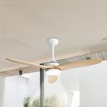 Spector 52'' Ceiling Fan LED Light 