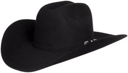 Stetson Men's 6X Skyline Fur Felt C