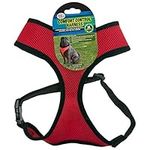 Four Paws Extra Large Red Comfort C