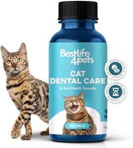 Cat Dental