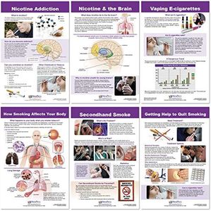 NewPath Learning Effects of Smoking & Vaping Bulletin Board Charts, Set/6 - Laminated, Double-Sided, Full-Color, 12" x 18" (96-6001)