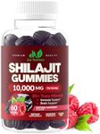 Shilajit 10,000mg Gummies for Men & Women - Maximum Strength, Gluten-Free, Non-GMO, 100% Vegetarian - Natural Raspberry Flavor - 60 Count