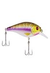 Flicker Shad Shallow Purple Tiger 2/7 oz