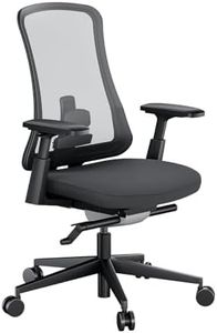 ProtoArc Ergonomischer Bürostuhl - Nylon Atmungsaktives Mesh Bürostuhl, Lendenwirbelstütze, Verstellbare Armlehnen, Wippfunktion, Ideal für Langes Arbeiten im Homeoffice/Büro (Flexer Pro-Schwarz)