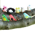 DIYOMR 12Pcs Miniature Figurines Life-Like Colorful Resin Birds with Nests Eggs for Fairy Outdoor Garden Ornaments Dollhouse Moss Landscape Plant Pots Tree Bonsai Craft Decor