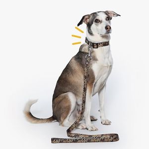 Bark Baskets Wild Roar Dog Collar Large