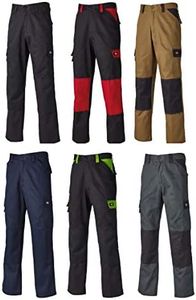 Dickies, H