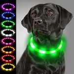 Joytale Light Up Dog Collar,LED Flashing Dog Collar for Night Walking, Rechargeable Glow Collars for Puppy Small Medium and Large Dogs,Green