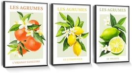 SERIMINO Fruit Framed Canvas Wall A