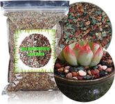 GOTVUGE Horticultural Lava Rock Mix, Pumice Succulent Cactus Natural Potted Bonsai Garden Gravel Top Dressing, 1000g