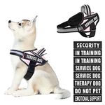 Dog Vest Harness and Patches Set, Animire in Training Service Dog Harness with 10 Dog Patches, Reflective Dog Vest with Handle for Small, Medium, Large, and Extra-Large Dogs