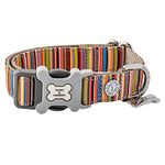 HUGO & HUDSON Nylon Dog Collar - Adjustable Pet Dog Collars with Quick Release Safety Clip Buckle - Sizes for Small Dogs, Medium, and Large Dog Breeds - Multi-Color Striped - L