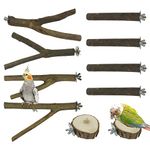 Allazone 10 PCS Natural Wood Bird Perch Stand, Bird Parrot Perch Stand Set, Wooden Parrot Perch Stand Perch Platform Cage Accessories for Parrotlets Cockatiels Budgies Parakeets