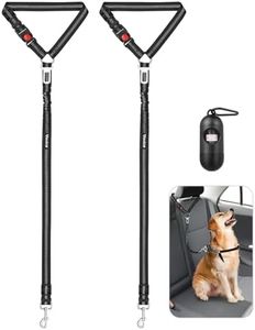 Vastar 2 P