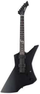 ESP Guitar