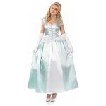 Fun Shack Womens Princess Costume Adults Royal Blue Fairytale Queen Gown Dress, L, Blue Princess Gown