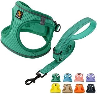 BELLA & PAL Dog Harness and Leash Set, Step-in Small Dog Harness for Extra Small Dogs, Soft Mesh Breathable Harness with Reflective Strip, Puppy Harness No Pull Harness for Small Dogs, Green, XXS