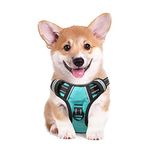 HEELE Dog Harness Dog Harness Medium No Pull Dog Vest Harness with Handle Dog Harness Reflective Dog Harness for Outdoor Training Walking, Turquoise, M