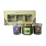 EKAM Pack of 3 Scented Candles| Long Lasting| Ideal for Home Décor Aromatherapy & Gifting, Lead-Free, Lemongrass Hexa Jar Candle, Lavender & Sandalwood and Cedar & Mahogany Shot Glass Candle, Gift Set