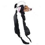 Casual Canine Polyester Little Stinker Skunk Dog Costume, Small, 12-Inch, Black/White