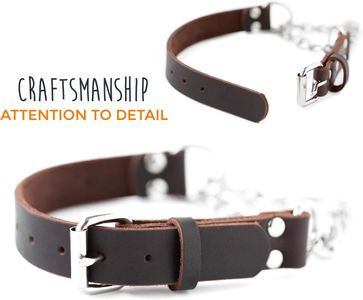 Mighty Paw Leather Martingale Dog Collar – Stainless Steel Chain, Safe Training