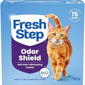Fresh Step