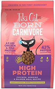 Tiki Cat B